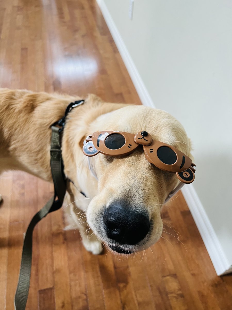 Tucker
