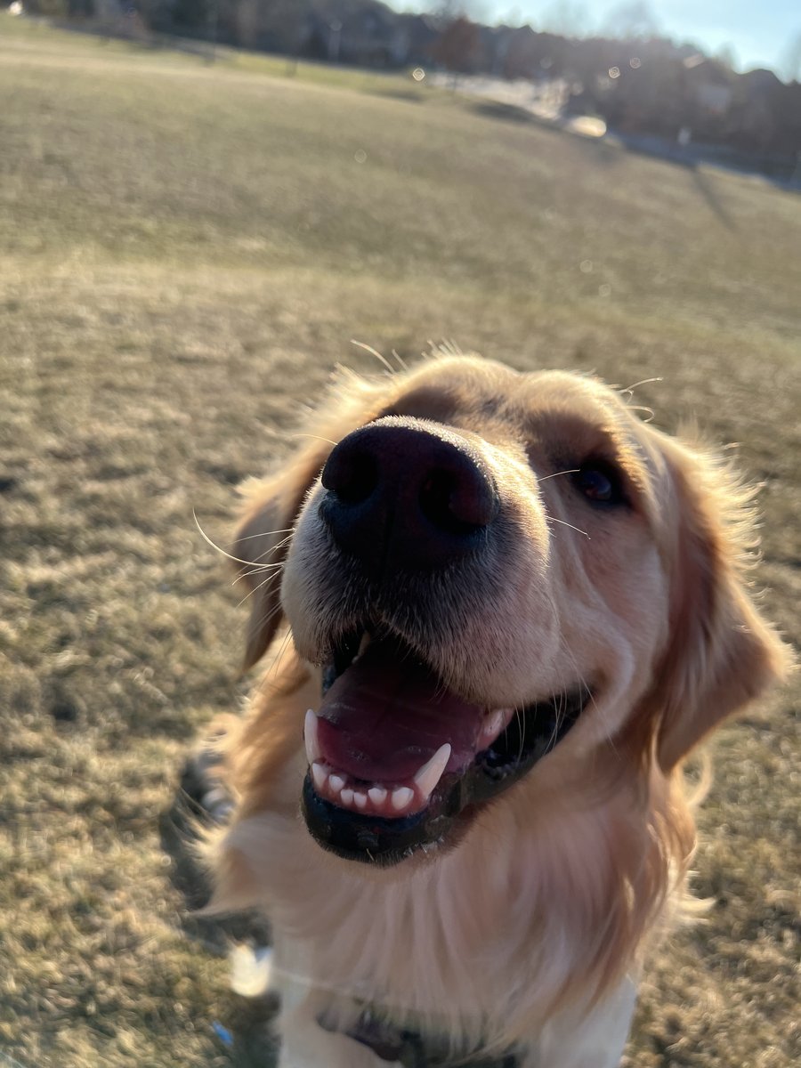 Tucker