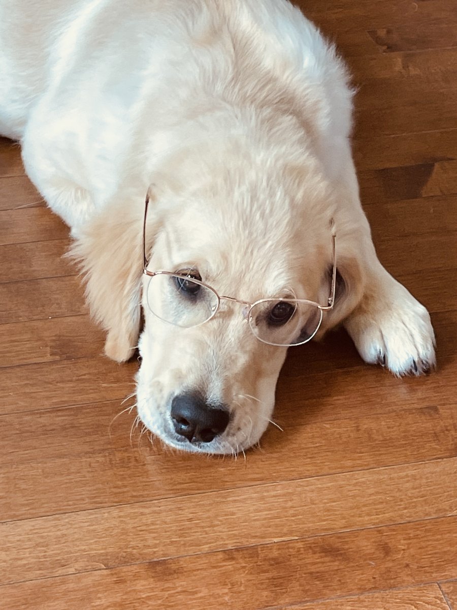 Tucker wearing glasses