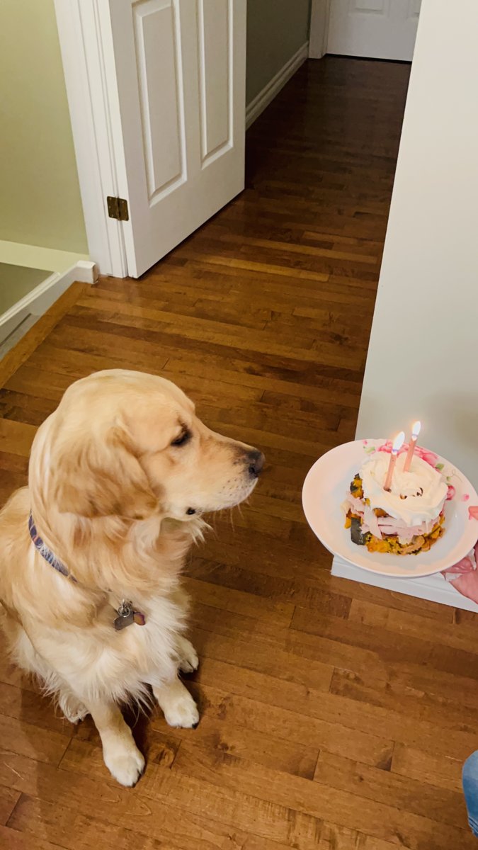 Tucker with his birthday cake
